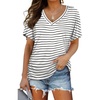 06-black Stripes