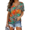 3-hawaii Orange Blue