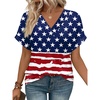 Usa Flag