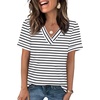 Z- White Black Stripes