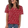 image:imageWIHOLL Womens Summer Tops Trendy Short Sleeve T Shirts Pleated Crewneck Tees Blouses Dressy Casual Outfits Fashion ClothingPrint 7