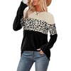 image:imageWIHOLL Womens Sweaters Trendy Color Block Tops Long Sleeve Shirts Fall Outfits Early Fall Fashion 2026 Winter ClothingUnique Leopard