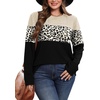image:imageWIHOLL Womens Sweaters Trendy Color Block Tops Long Sleeve Shirts Fall Outfits Early Fall Fashion 2026 Winter ClothingUnique Leopard